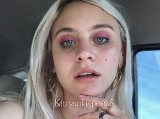 Kittysplaypen18