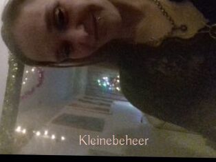 Kleinebeheer