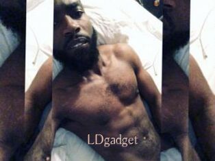 LDgadget