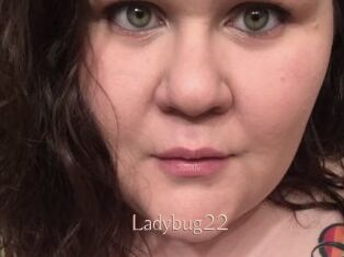 Ladybug22