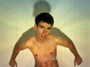 LargeSin