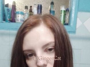 LilGingerCat