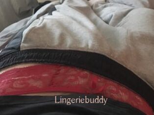Lingeriebuddy