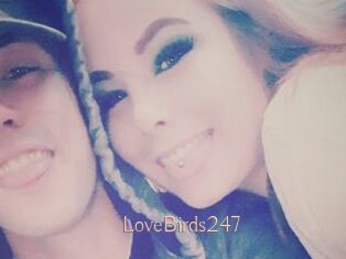 LoveBirds247