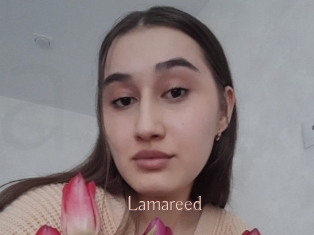 Lamareed
