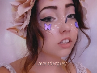 Lavendergrey