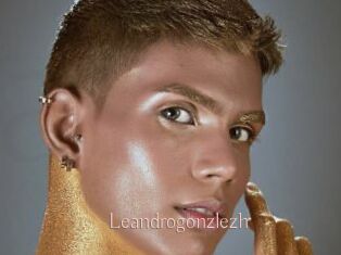 Leandrogonzlezh