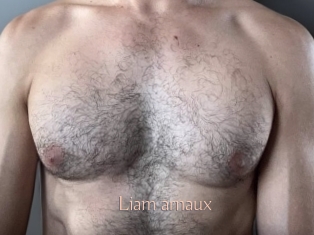 liam_arnaux Anal Sexe