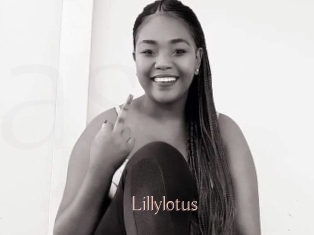 Lillylotus