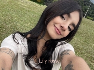 Lily_rosse