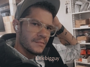 Litlebigguy