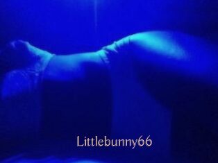 Littlebunny66