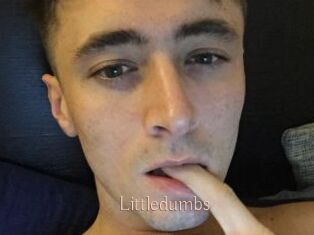 Littledumbs