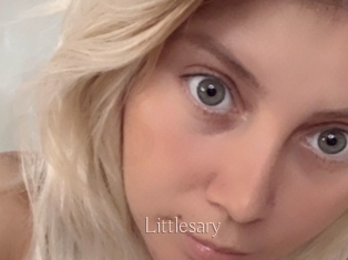 Littlesary