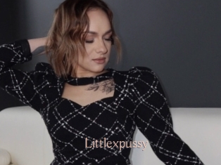 Littlexpussy