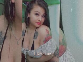 Lizhorney