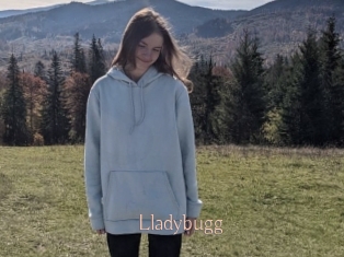 Lladybugg