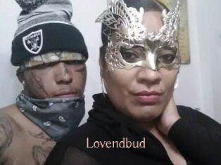 lovendbud Anal Sexe