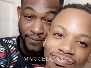 MARRIEDGAYS213