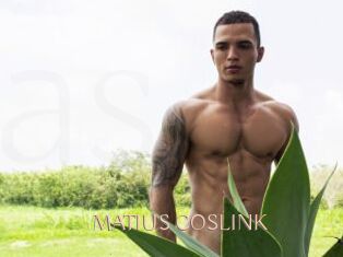 MATIUS_COSLINK