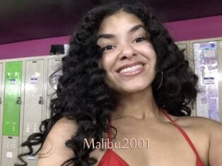 Malibu2001