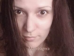 Mandragora