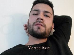 MarteauVert Anal Sexe