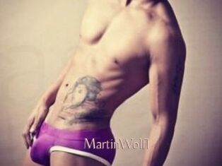 Martin_Wolfl