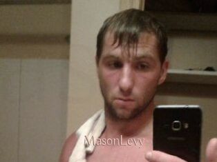 Mason_Levy