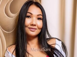 MeinaSani