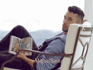 MiguelSanto