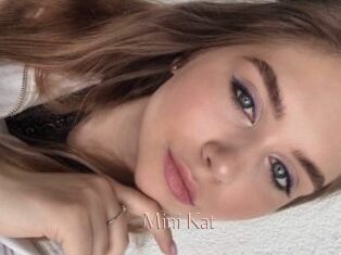 Mini_Kat