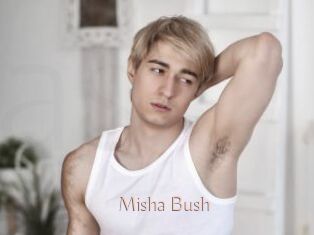 Misha_Bush
