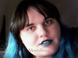 Moonflowers
