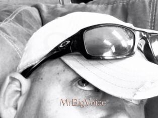 MrBigVoice