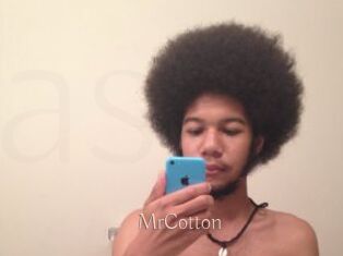 MrCotton