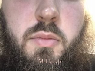 MrHairyJr