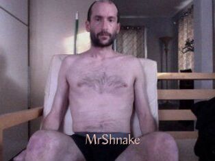 MrShnake