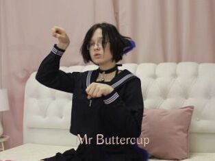 Mr_Buttercup
