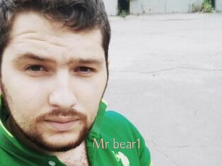Mr_bear1