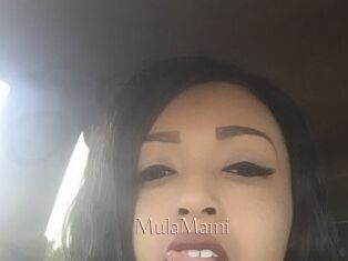 MulaMami
