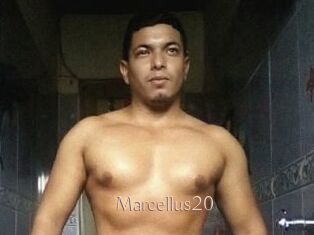 Marcellus20