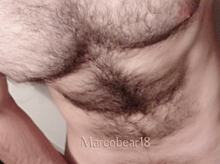 Marcobear18