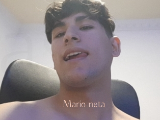 Mario_neta