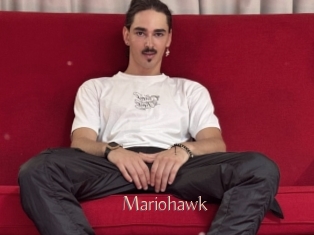 Mariohawk