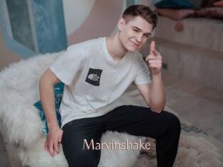 Marvinshake