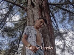 Mathew_brooks