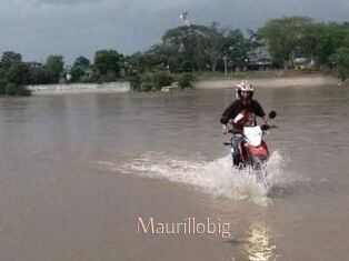 Maurillobig