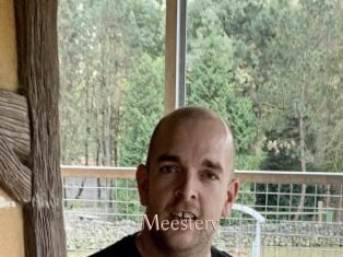 Meesterv