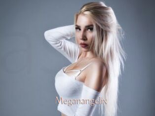 Meganangelix